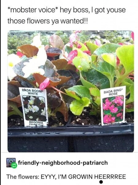 3JKIuCt.jpeg