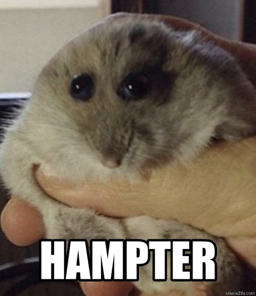 XH0nmAZ.png