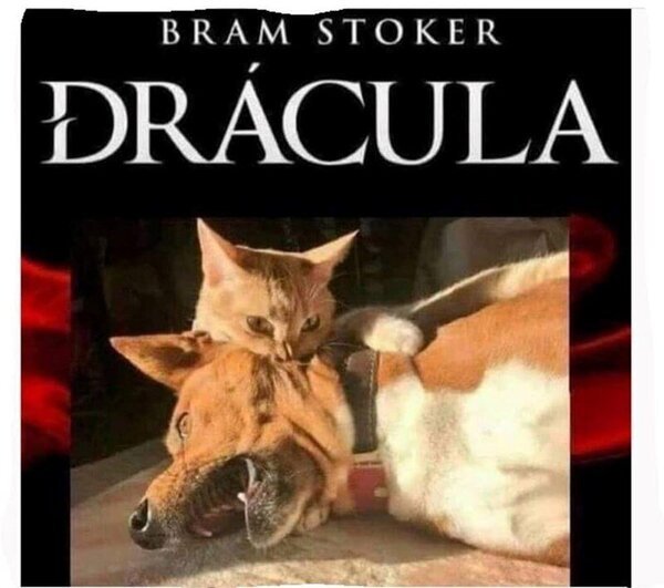 xRfGq22.jpeg