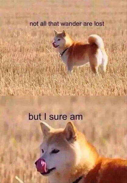 xVjSsoL.jpeg