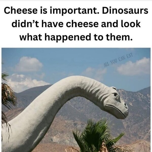 xw1581a.jpeg