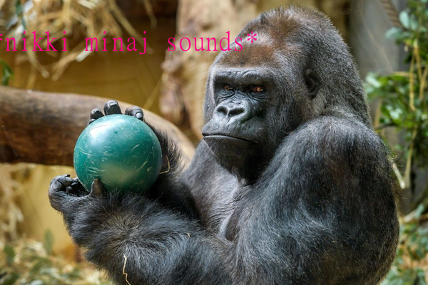 03uIjw9.png
