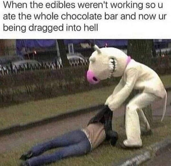 1laZSYY.jpeg