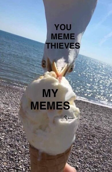 2DjG41f.jpeg