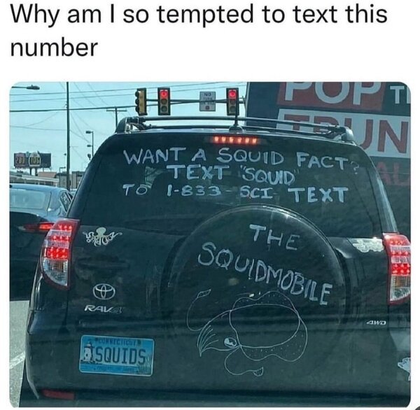 45IlwMy.jpeg