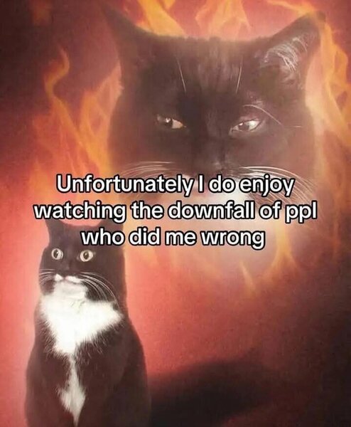 73JscZ3.jpg