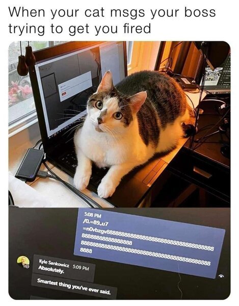 9WtFRYd.jpeg