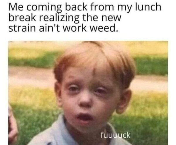 9bcDz7y.jpeg