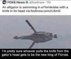 DNCU38f.jpeg