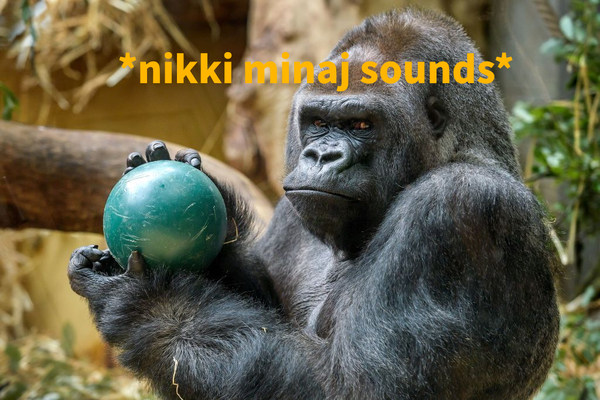 KzqBtoV.png