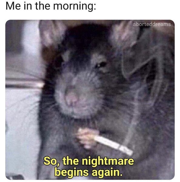 LqE6nKB.jpeg