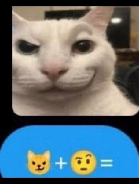 O2zjkdA.jpg