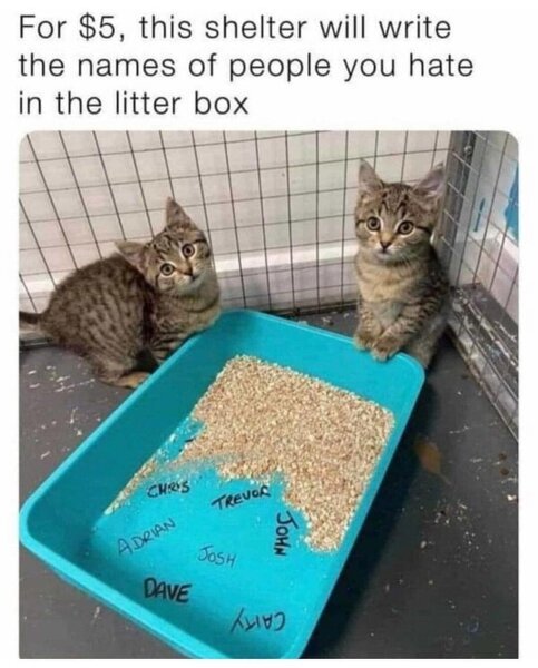 PCJIkDj.jpeg