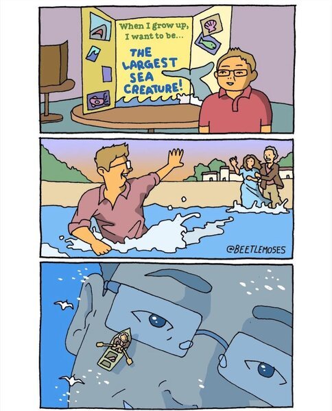 PdORk5J.jpeg
