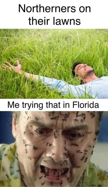 T4kF93C.jpeg