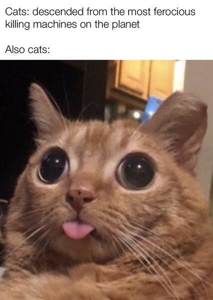 WGmtSvS.jpeg