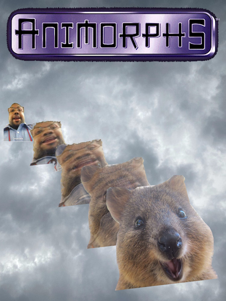 ymbcs3h.png