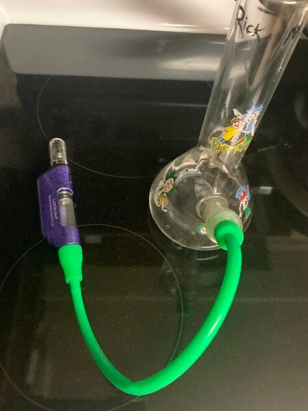 Seahourse Vs. Rick & Morty